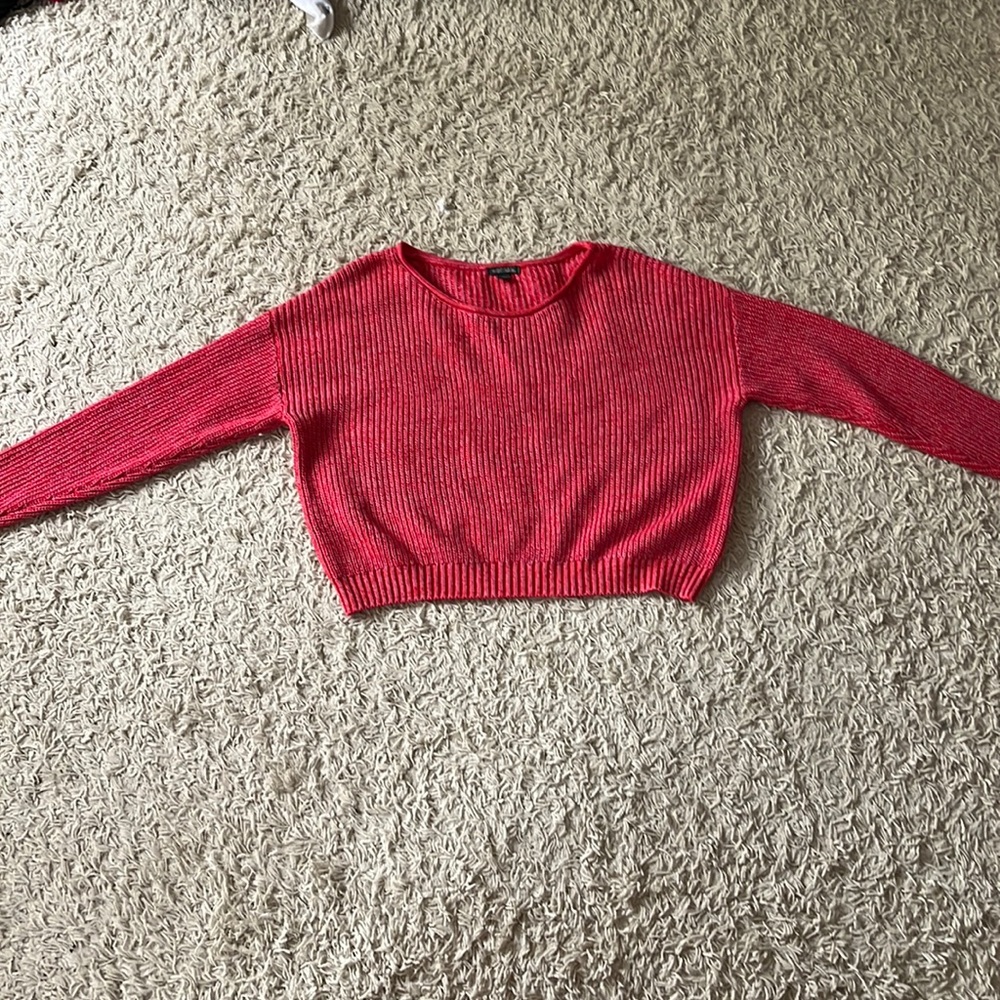 Wild Fable sweater